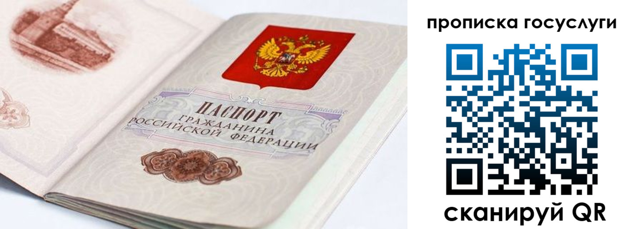 прописка гарантия в Каменке